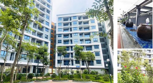 Vinhomes sắp khởi công dự án nhà ở xã hội Hải Phòng quy mô 5.800 tỷ đồng, đáp ứng chỗ ở 10.000 người